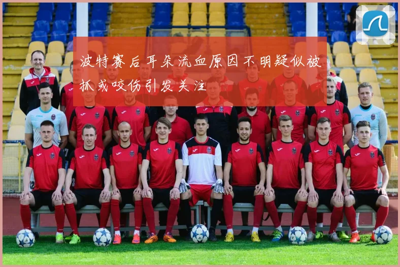 波特赛后耳朵流血原因不明疑似被抓或咬伤引发关注