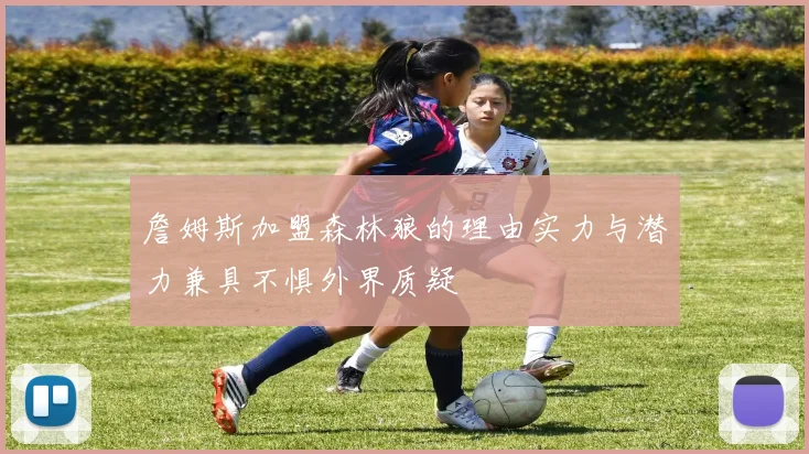 詹姆斯加盟森林狼的理由实力与潜力兼具不惧外界质疑