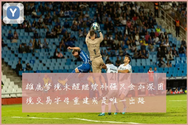 雄鹿梦境未醒继续补强只会加深困境交易字母重建或是唯一出路